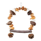 Pine Cones