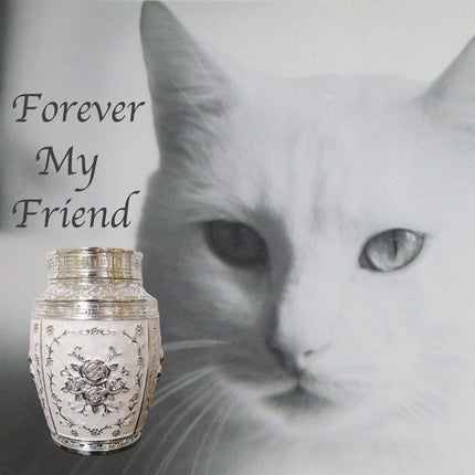 Large Sealed Jar Pet Urn Storage Jar for Pet Ashes Keepsake Memorial Container
