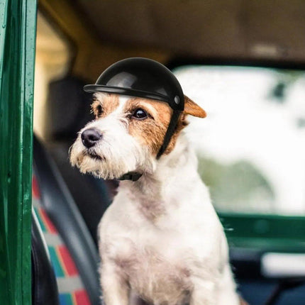 Motorcycle Pet Helmet Dog Cat Riding Hat Toy Accessory