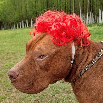 Pet Wig for Dogs and Cats Costume Accessory Pet Supplies for Halloween Parties