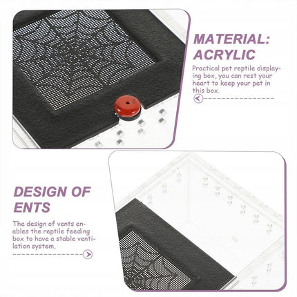  Lizard Reptile Breeding Box