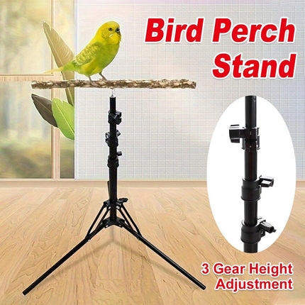 Parrot Activity Stand Pet Bird Stand with Stick Perch for Birds Play and Rest