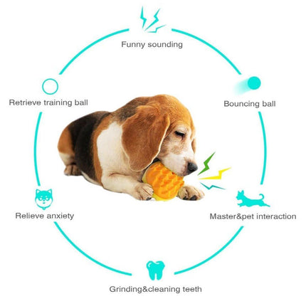 Dog Chew Ball Toy Elastic Teething Ball with Sound Interactive Puppy Play