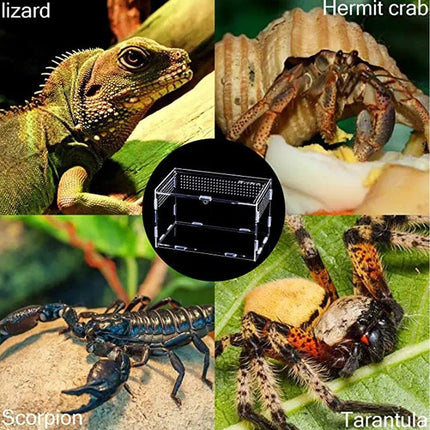 Clear Pet Box Slide Lid Reptile Breeding Habitat Panoramic View Terrarium