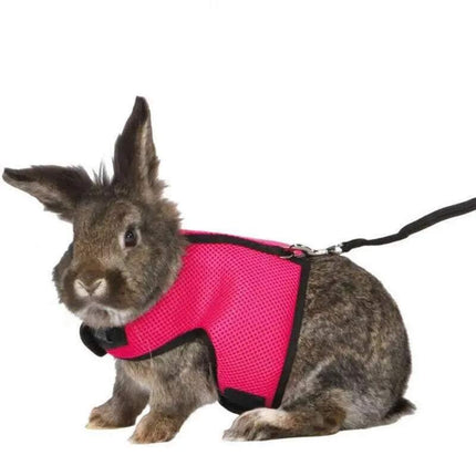Small Animal Harness Guinea Pig Forret Hamster Rabbit Squirrel Vest Clothes Lead L Size - Aimall