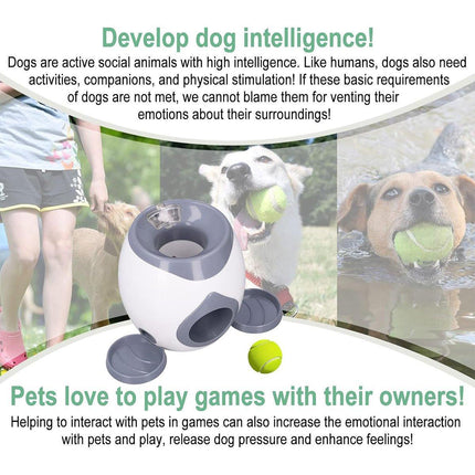 Pet Dog Training Interactive Toy Tennis Reward Feeder Machine Pet Play Game - Aimall
