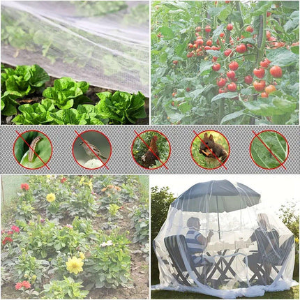 Agricultural Insect-proof Greenhouse Net for Fruit Vegetable Plant Protection