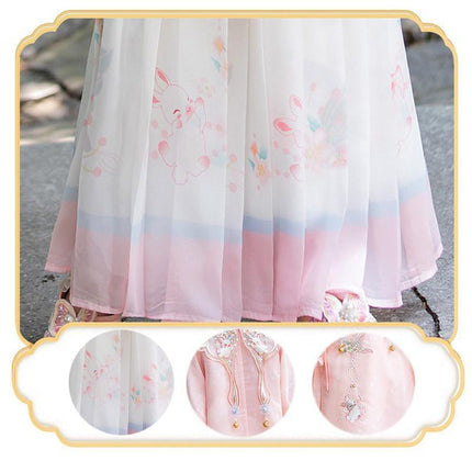 Chinese Girls Embroidered Dress Floral Tang Suit Hanfu Fairy Ancient Costume New - Aimall