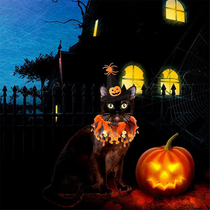 Halloween Cat Costume Skull Pattern Hat and Scarf Set Pet Cape Accessories