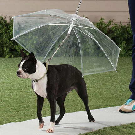 Pet Dog Transparent Umbrella 30 inch Diameter With Dog Leash For Rain Walking Outdoor