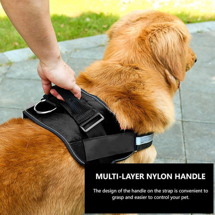 Adjustable Dog Vest Harness for Small Medium Dogs Comfortable No Pull Design