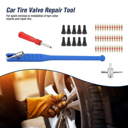 43pcs Car Tyre Valve Stem Puller Set Quick Remover Tire Repair Installation Tool