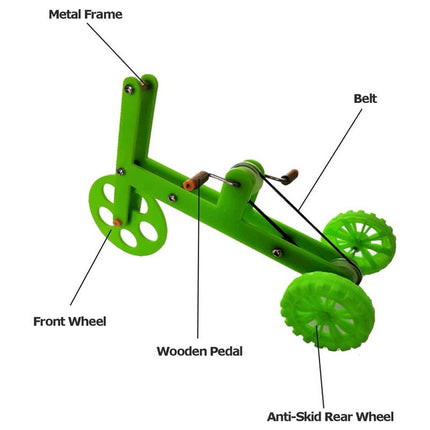 Parrot Bicycle Training Interactive Toy for Birds Chew Play Exercise and Fun