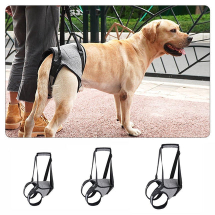 Decompression Back Leg Strap for Injured and Older Dogs Support Harness Aid