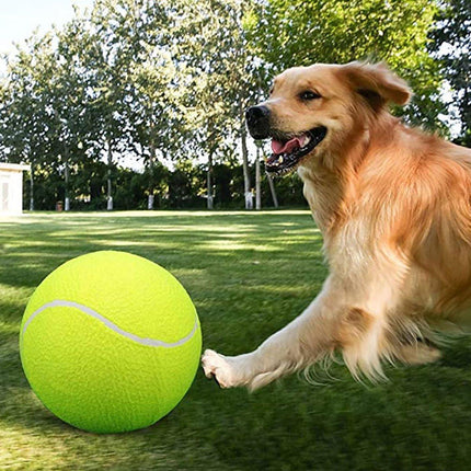Inflatable Tennis Ball Pet Toy for Dogs Training Interactive Play Fetch Fun