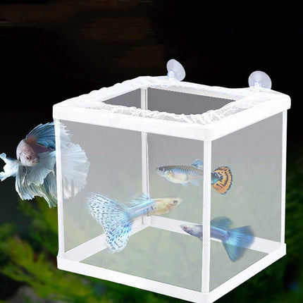 Guppy Fry Breeding Box Fish Tank Isolation Box Juvenile Fish Incubator Net