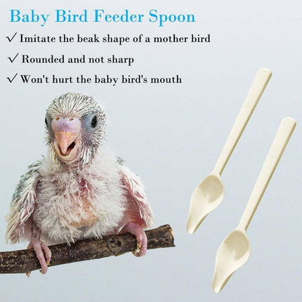 5pcs Parakeet Feeding Spoons Baby Bird Milk Powder Hand-Raised Feeding Tool