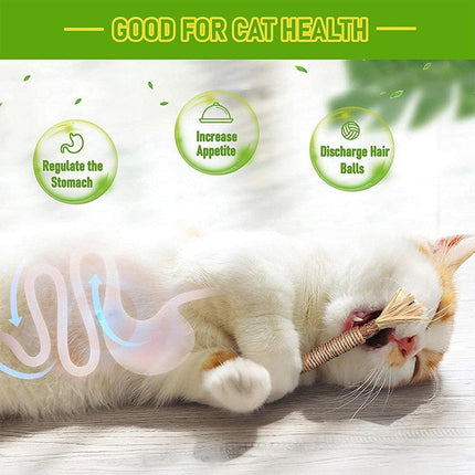 Cat Toys Silvervine Chew Stick Kitten Treat Catnip Toy Grinding Tooth Cleaning - Aimall