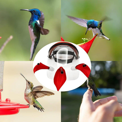 Outdoor Head Mounted Bird Feeder Portable Helmet Bird Feeder Wild Birds Feeding