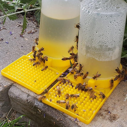 10PCS Beekeeping Tools Hive Entrance Feeder Bee Feeding Trough Beehive Door Tool