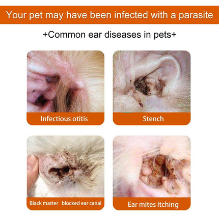 Pet Ear Wipes Gentle Cleaning Deodorizing Mite Removal Ear Wax Care Products