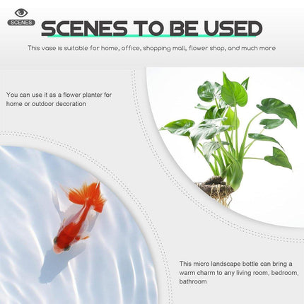 Japanese Style Small Glass Vases Fish Tank for Home Decor