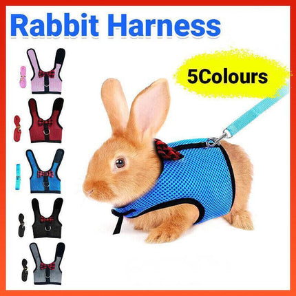 Rabbit Vest Harness Leash Lead Small Animal Pet Mesh Hamster Bunny Traction Rope L - Aimall