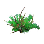 CM2503-Green