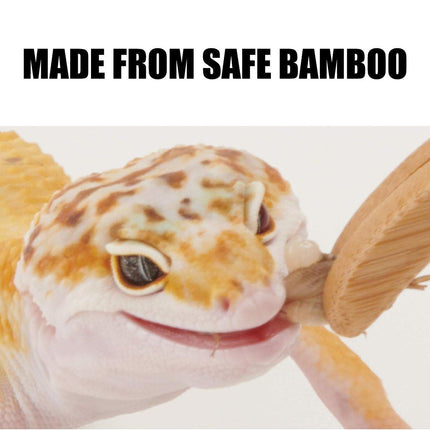 Bamboo Feeding Tools for Pets Crawler Accessory Durable