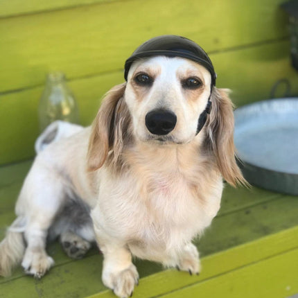 Motorcycle Pet Helmet Dog Cat Riding Hat Toy Accessory