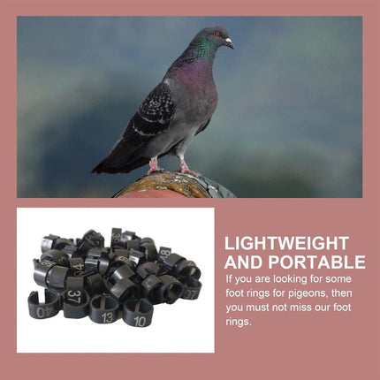 100X 001-100 Digital Numbered Bird Leg Band Rings Clip For Pigeon Parrot Poultry