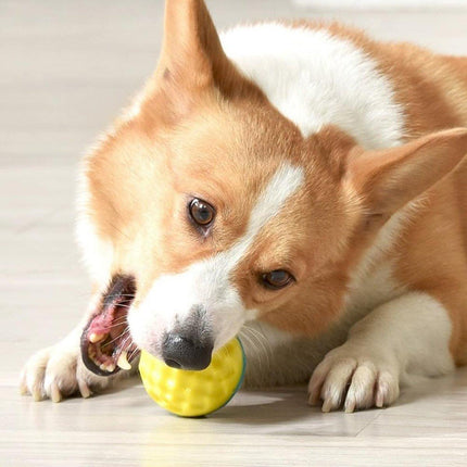 Dog Chew Ball Toy Elastic Teething Ball with Sound Interactive Puppy Play