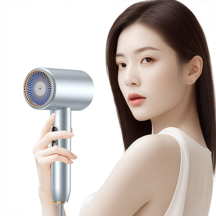 Hair Dryer Lightweight Blue Ray Quiet Hair Care Dryer 2400W High Speed No-Burn
