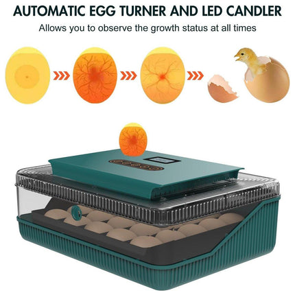 Fully Automatic Egg Incubator New 25 Capacity LED Display for Hen Duck Quail
