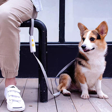 Nylon Leash for Small Medium Dogs Durable Adjustable Walking Lead Strap