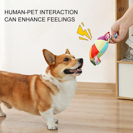 Interactive Dog Frisbee Puppy Teething Toy Pet Training Fetch Toy Outdoor