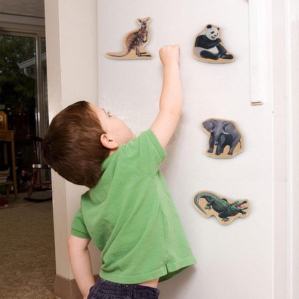 Animal Magnetic Fridge Stickers Educational Chalkboard Magnets for Kids Learning
