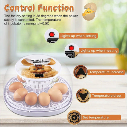 Automatic Small Egg Incubator for Chicken Pigeon Efficient Breeding Equipment