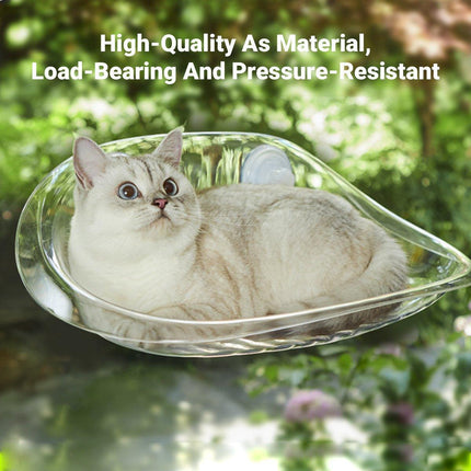 Cat Hammock Bed Glass Hanging Basket Clear Pet Nest Elevated Sleeping Bed