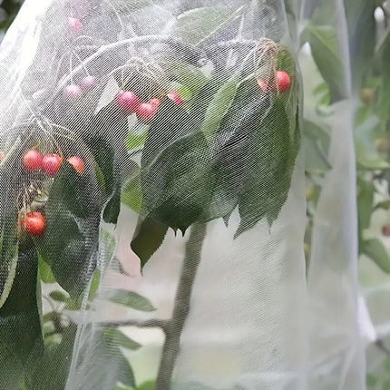 Agricultural Insect-proof Greenhouse Net for Fruit Vegetable Plant Protection