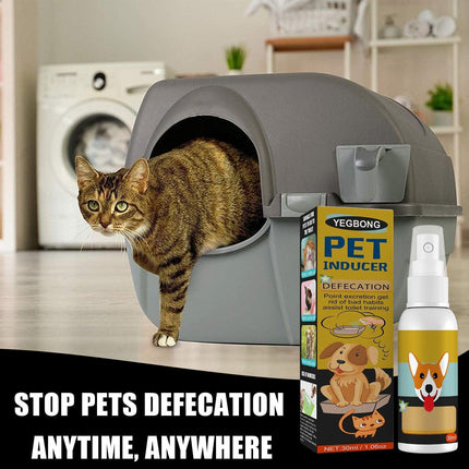 Pet Toilet Training Spray Inducer Dog Poops Cat Pee Urine Positioning Defecation - Aimall