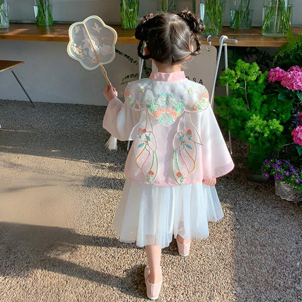 Girls Autumn Hanfu Dress Traditional Chinese Style Skirt Outfit for Daily Wear