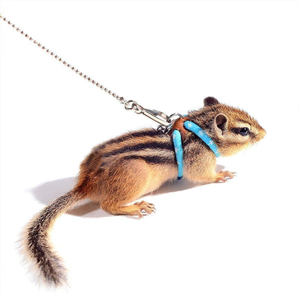 Hamster Traction Rope Anti Bite Mouse Walking Leash Windproof Outdoors Safe - Aimall