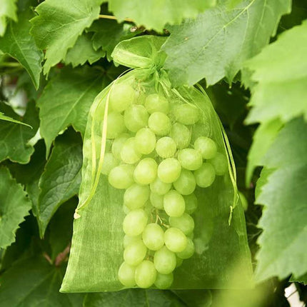 50/100x Fruit Net Bags Agriculture Garden Vegetable Protection Mesh Insect Proof - Aimall