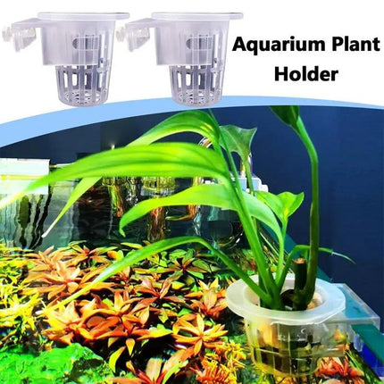 Adjustable Wall Mounted Aquatic Plant Cup for Emersed Plants Water Grass Holder