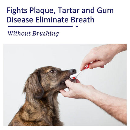 Pet Oral Care Cats Dogs Clean Bad Breath Tartar Stains Teeth Whitening Kit