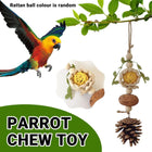 Parrot Chew Toys Bird Cage Accessories Hanging Pinecone Rattan Ball Foraging Toy