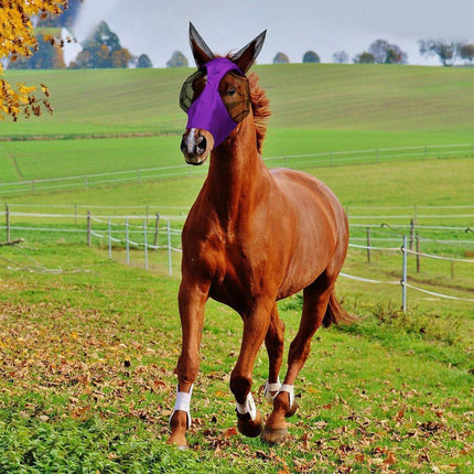 Mosquito Fly Mask For Horses UV Protection Breathable Horse Face Covering