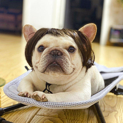 Pet Wig for Dogs and Cats Costume Accessory Pet Supplies for Halloween Parties
