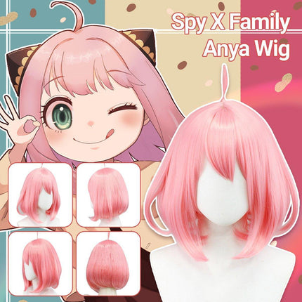 Spy House Ania Wig AU